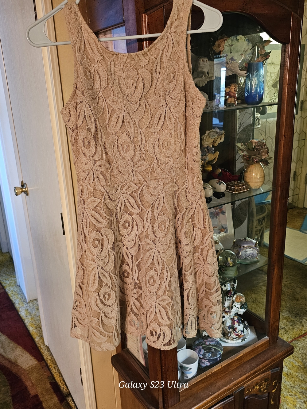 finn & clover Blush Floral Lace Fit-and-Flare Mini Dress